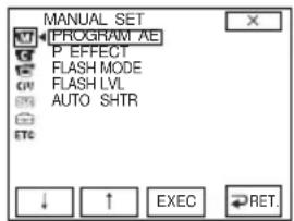 MANUAL SET PROGRAM AE P EFFECT FLASH MODE FLASH LVL AUTO SHTR ↓ ↑ EXEC RET