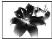 SONY DCR-HC16 - B EFFECT - 1