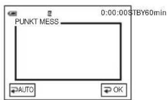 SONY DCR-HC16 - Festlegen der Belichtung für das ausgewählte Motiv – Flexible Punktbelichtungsmessung - 1