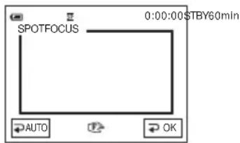 SONY DCR-HC16 - Scherpstellen op een onderwerp dat niet in het midden staat - SPOT FOCUS - 2