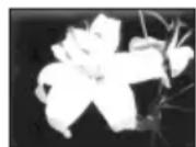 SONY DCR-HC16 - B EFFECT - 2