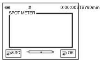 SONY DCR-HC16 - De belichting vastleggen voor het geselecteerde onderwerp - Flexibele spotmeter - 2