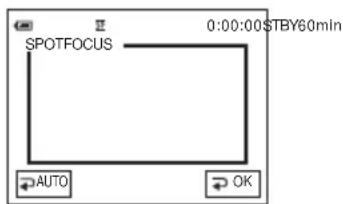 SONY DCR-HC16 - Scherpstellen op een onderwerp dat niet in het midden staat - SPOT FOCUS - 1