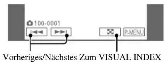 100-0001 Vorheriges/Nächstes Zum VISUAL INDEX