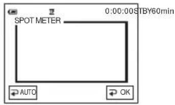 SONY DCR-PC106 - De belichting vastleggen voor het geselecteerde onderwerp - Flexibele spotmeter - 1