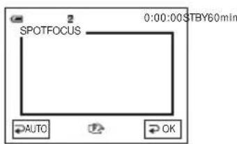 SONY DCR-PC106 - Scherpstellen op een onderwerp dat niet in het midden staat - SPOT FOCUS - 2