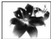 SONY DCR-PC106 - B EFFECT - 1