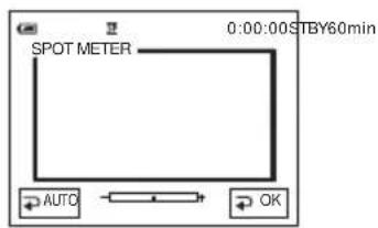 SONY DCR-PC106 - De belichting vastleggen voor het geselecteerde onderwerp - Flexibele spotmeter - 2