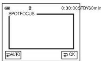 SONY DCR-PC106 - Scherpstellen op een onderwerp dat niet in het midden staat - SPOT FOCUS - 1