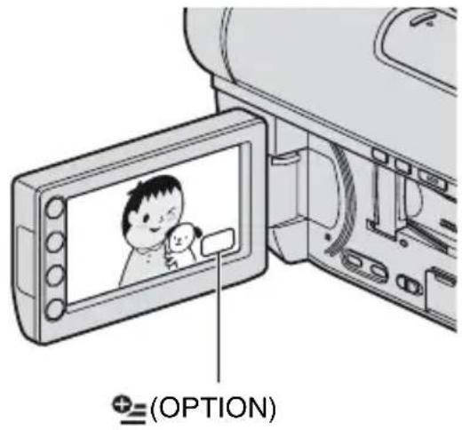 (OPTION)