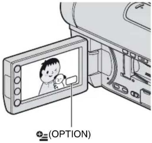 (OPTION)