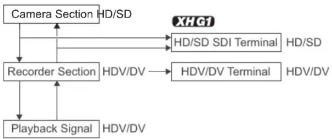 CANON XH G1 - About the HD/HDV and SD/DV Specifications - 1