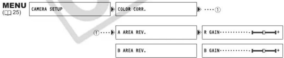 CANON XH G1 - Adjusting the Color Correction - 1