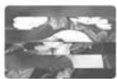 CANON XH G1 - Video Heads - 2