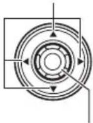CANON DC420 - Joystick und Joystick-Übersicht - 1