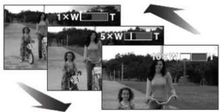 1×W T 5×W T 10×W HT