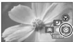 PANASONIC VDR D 220 EG - Kayıt - 2