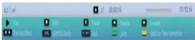 TOSHIBA 32W1343DG - Video Playback - 2