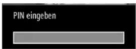 TOSHIBA 23DL934G - Ansicht Menü Jugendschutz - 1