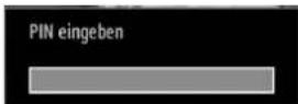 TOSHIBA 23DL934G - Anzeigen der Infozeile - 2