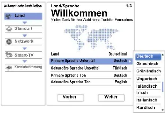 TOSHIBA 65M9363 - Automatische Installation - 2