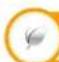 SHARP LC-60LE636S - ZUR BEACHTUNG - 1
