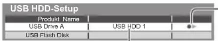 PANASONIC TX-L42ETW50 - Bestätigung, um die USB-Festplatte für die Aufzeichnung zu aktivieren - 3