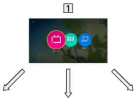 PANASONIC TX-55DXT686 - Information - 1