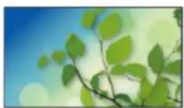 PANASONIC TX-55DXF687 - Information - 2