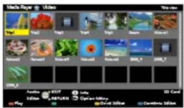 PANASONIC TX-50ASW604 - Information - 1
