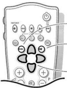 PHILIPS 32PW8206 - Benutzung der Fernbedienung - 3