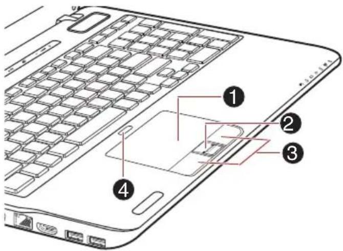 TOSHIBA Satellite A660D - Verwenden des Touchpads - 1