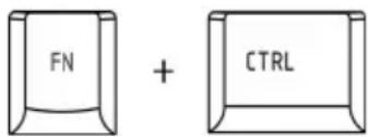 FN + CTRL