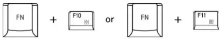 FN + F10 or FN + F11