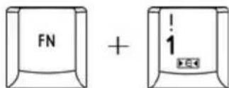 FN + 1 ×××