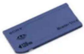 SONY PCG-FX505 - Generic Memory Stick™ - 1