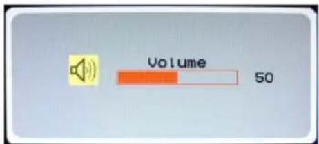 Volume 50