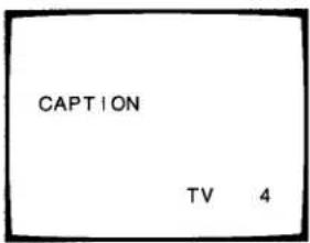 TOSHIBA CE20F10 - To view captions - 1