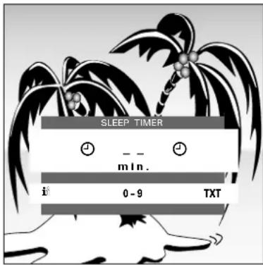 TOSHIBA 28N04D - Sleep Timer einstellen - 1