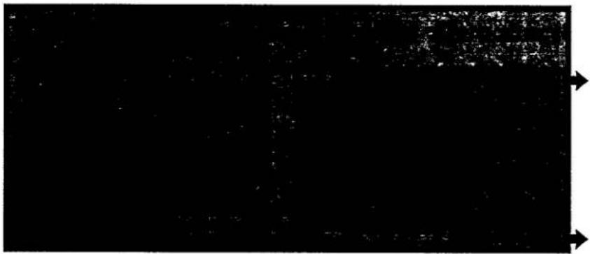 PHILIPS 21ST2731 - Special features - 1