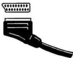 PHILIPS 21ST2731 - Equipment connected with a Eurocable - 1