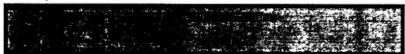 PHILIPS 21ST2731 - Compression of the picture - 2