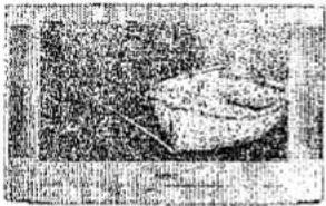 SHARP 28JW-74E - Fehlerbehebung - 3