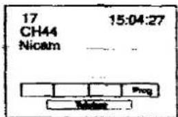PANASONIC TX-29A3C - Status / Programme Table - 5
