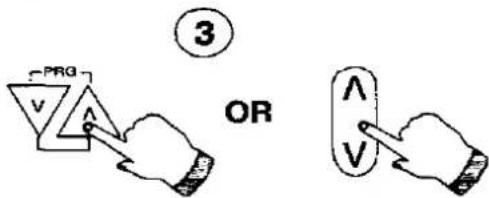 PANASONIC TX-29A3C - Programme Position Selection - 1