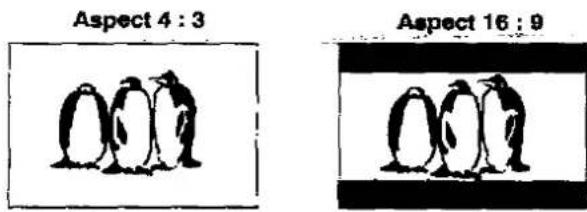 PANASONIC TX-29A3C - Picture Format Selection (Aspect) - 7