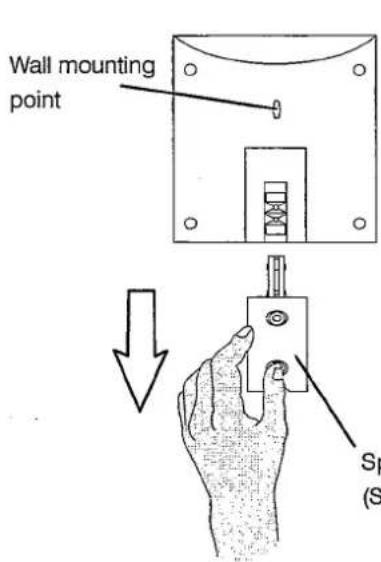PANASONIC TX-28LD4C - Connect the speakers - 4