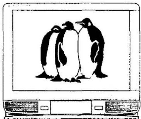 PANASONIC TX-25MD1C - Notes : - 10