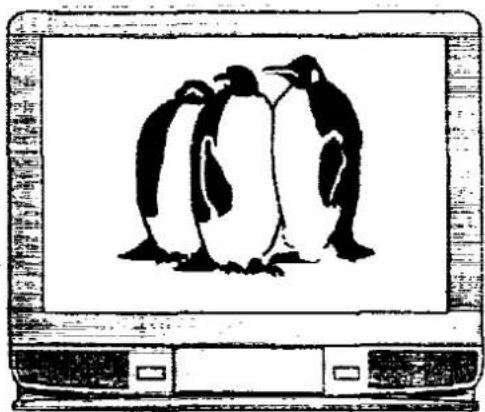 PANASONIC TX-25MD1C - ON SCREEN DISPLAY MENUS - 17