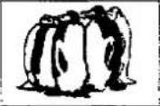 PANASONIC TX-25MD1C - AUDIO / VIDEO (AV) CONNECTIONS - 10